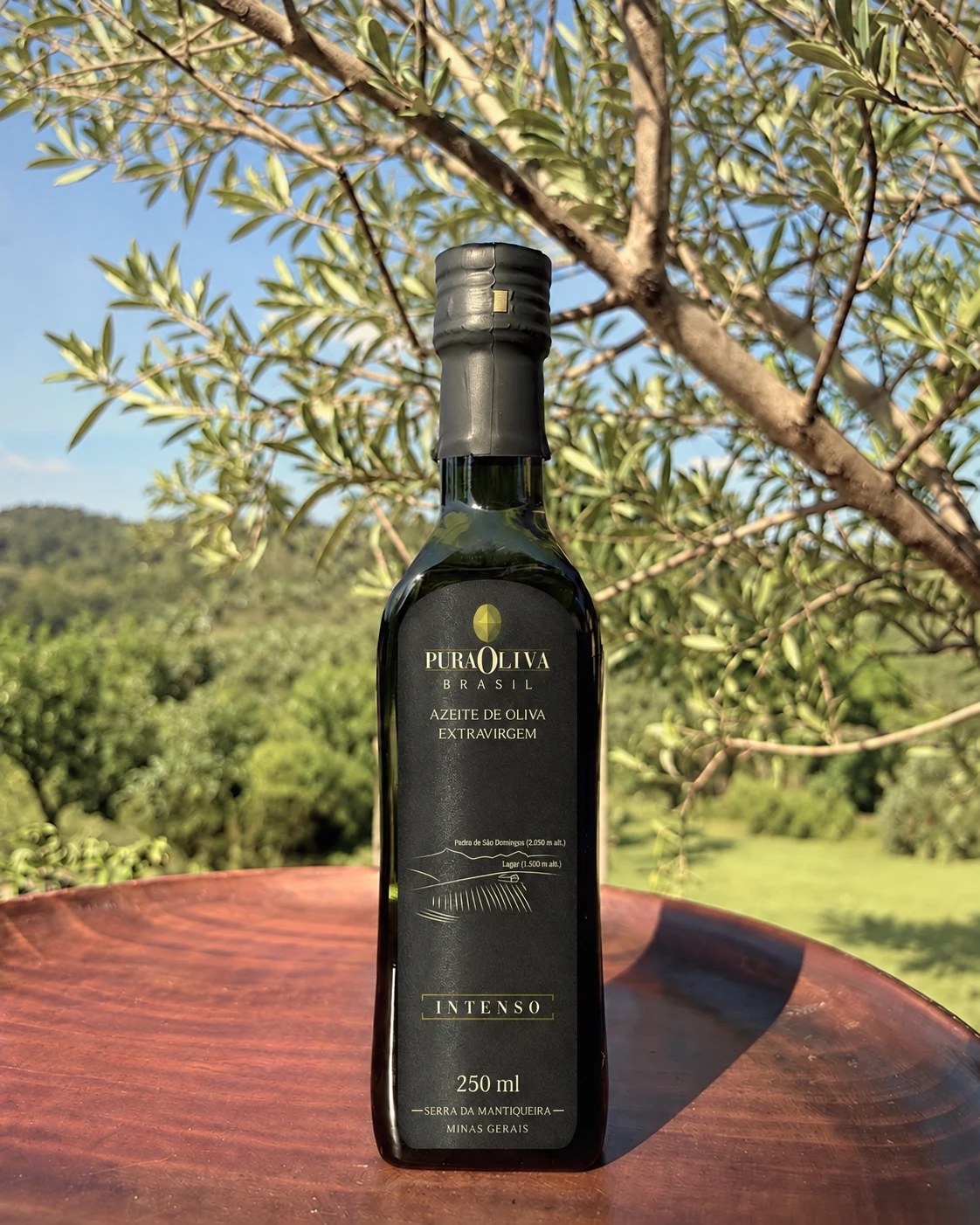 Garrafa de 250 ml do Azeite PuraOliva Intenso, de rótulo preto, numa mesa de madeira sob uma oliveira