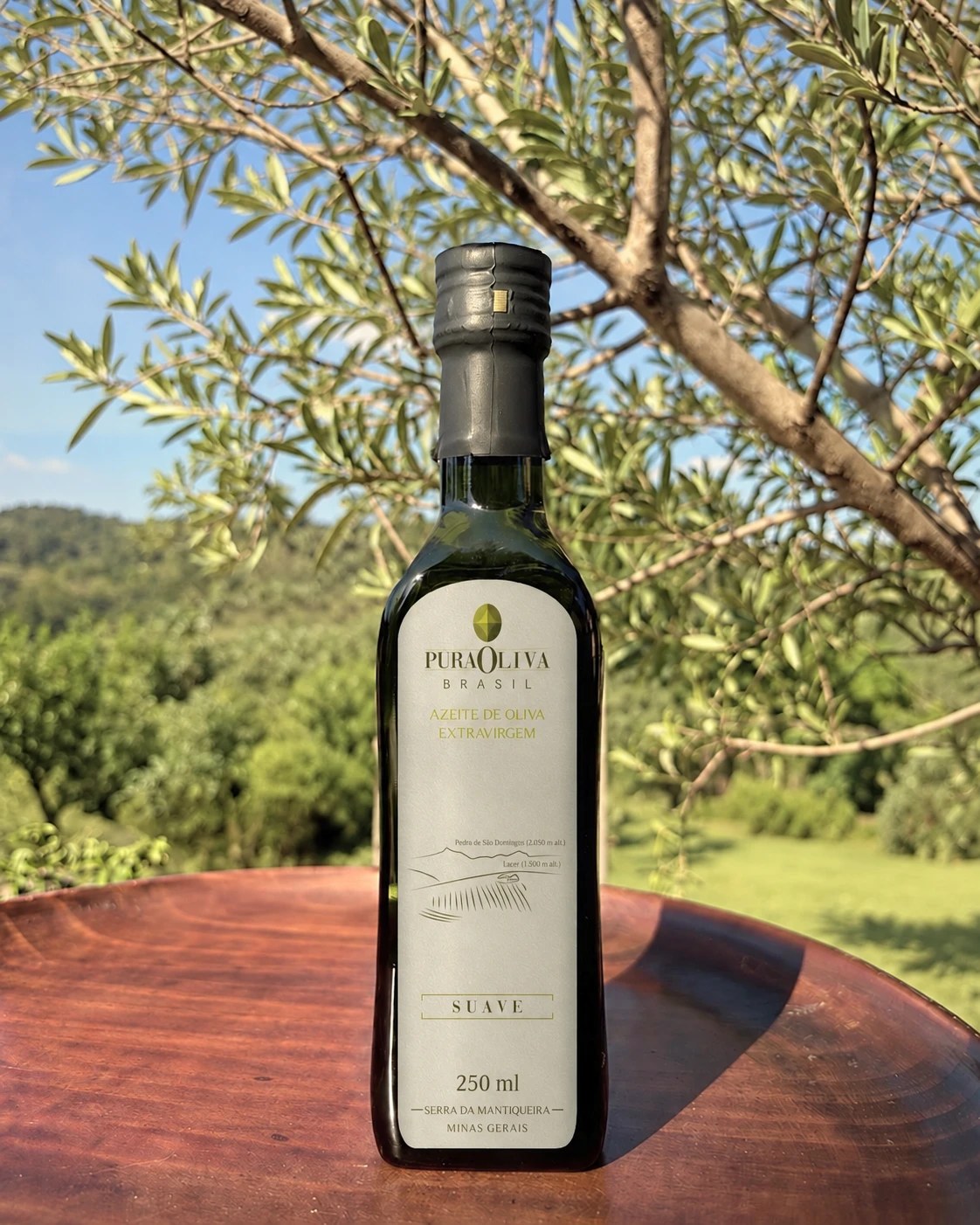 Garrafa de 250 ml do Azeite PuraOliva Suave, de rótulo branco, numa mesa de madeira sob uma oliveira